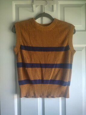 Everlane Organic Cotton Sweater Vest in Brown and Navy